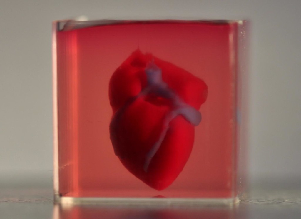 První lidské srdce vytištěné na 3D tiskárně