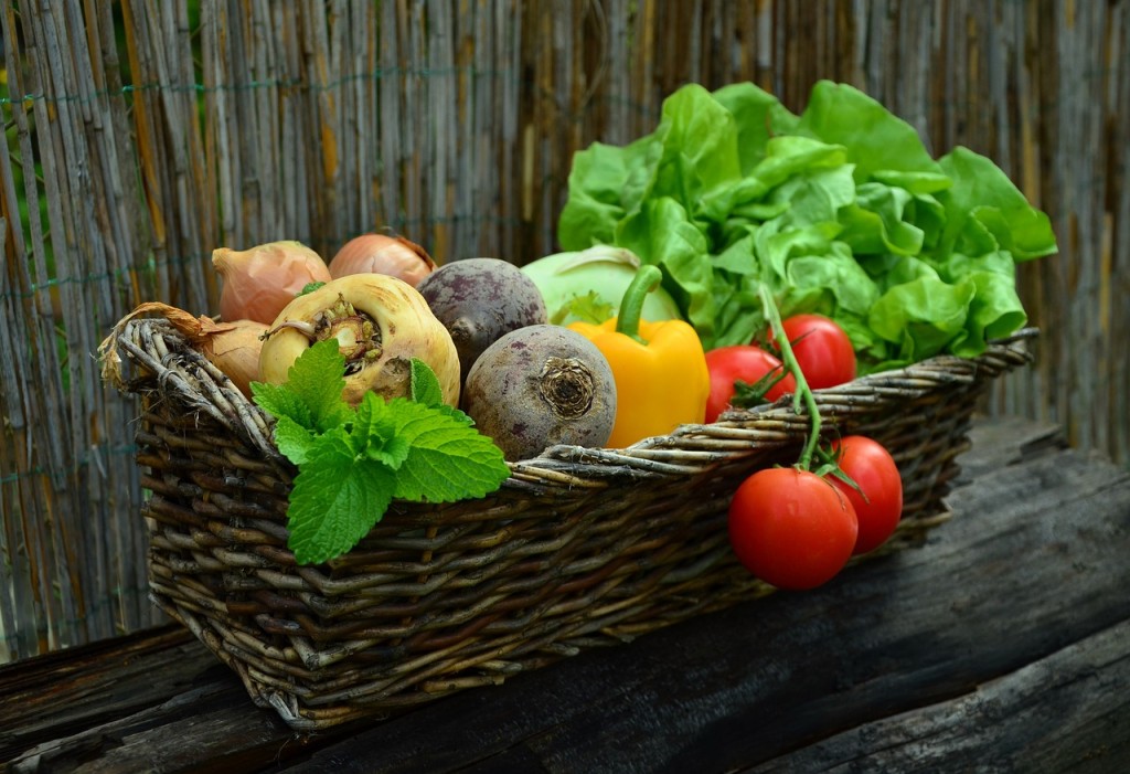 Živiny a vitamíny, které jsou pro správné fungování našeho organismu nezbytné, se dají rychleji získat s Bio a Eco potravin, kde jich je víc, než v běžných potravinách