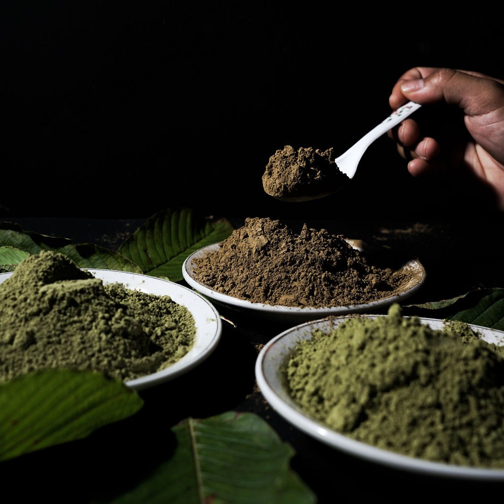 Čistě hypoteticky se kratom dělí na tři základní barvy. Je to bílá, zelená a červená