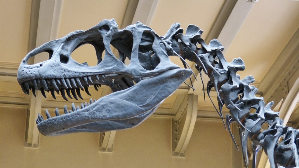 Vzácná fosílie dinosaura byla objevena v Argentině