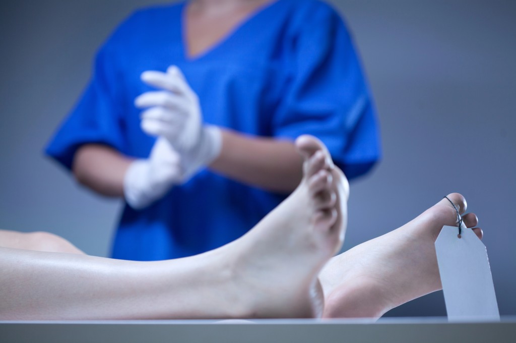 Procesy v mrtvém těle se odehrávají podle téměř totožného vzorce