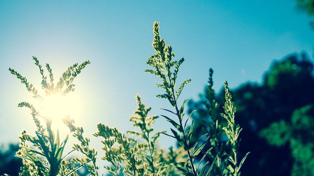 Teploty se v příštích dnech vyšplhají až ke 25 °C
