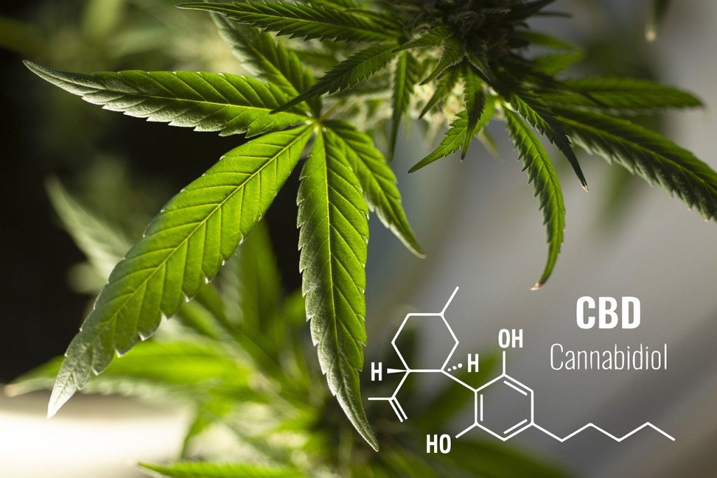 Při výběru silnějšího či slabšího CBD oleje nezapomeňte vzít v úvahu i plánované dávkování