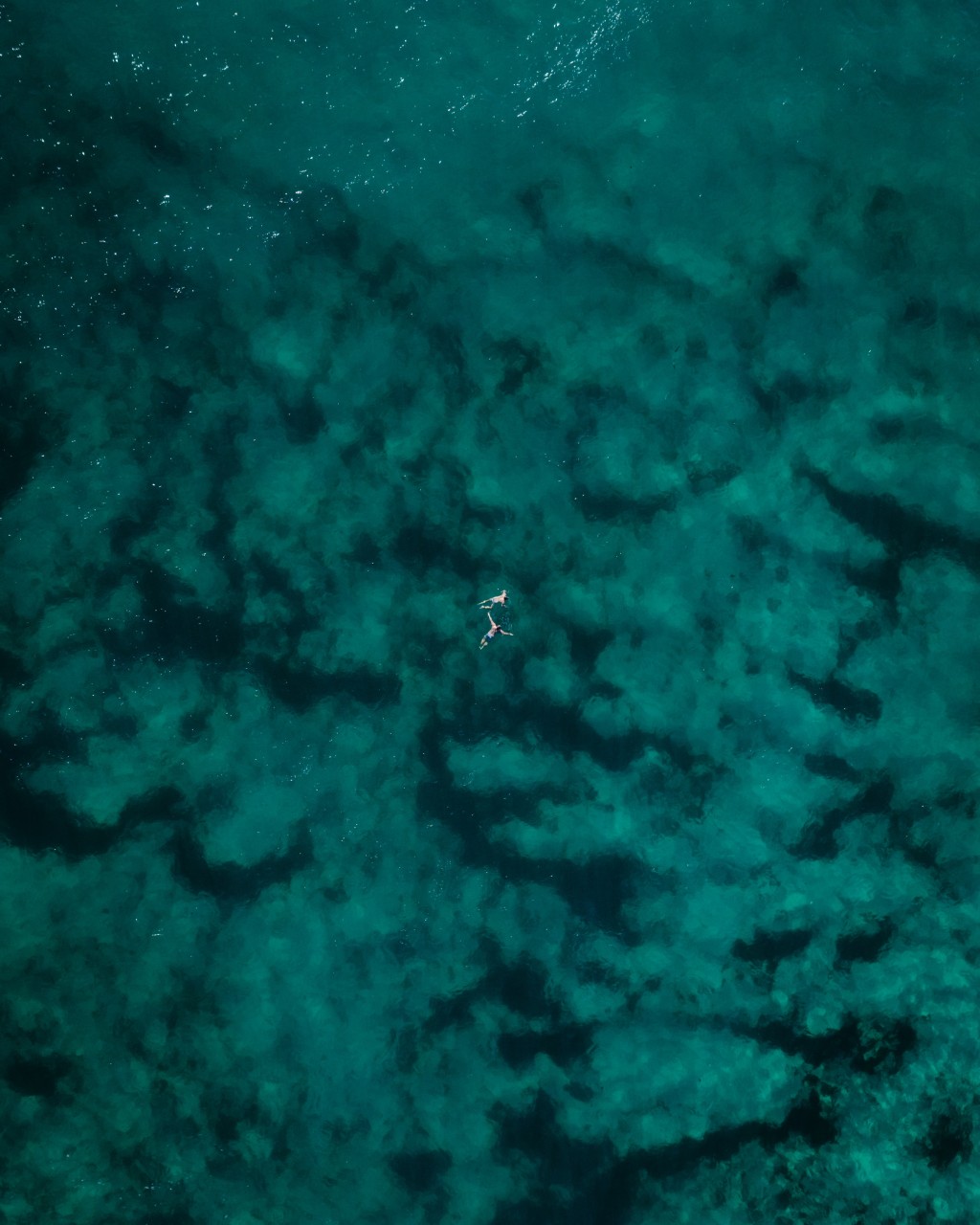Hlubiny oceánů podle vědců skrývají celou řadu dalších neodhalených zajímavostí