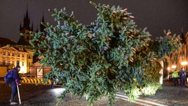 Vánoční strom na Staroměstském náměstí už stojí