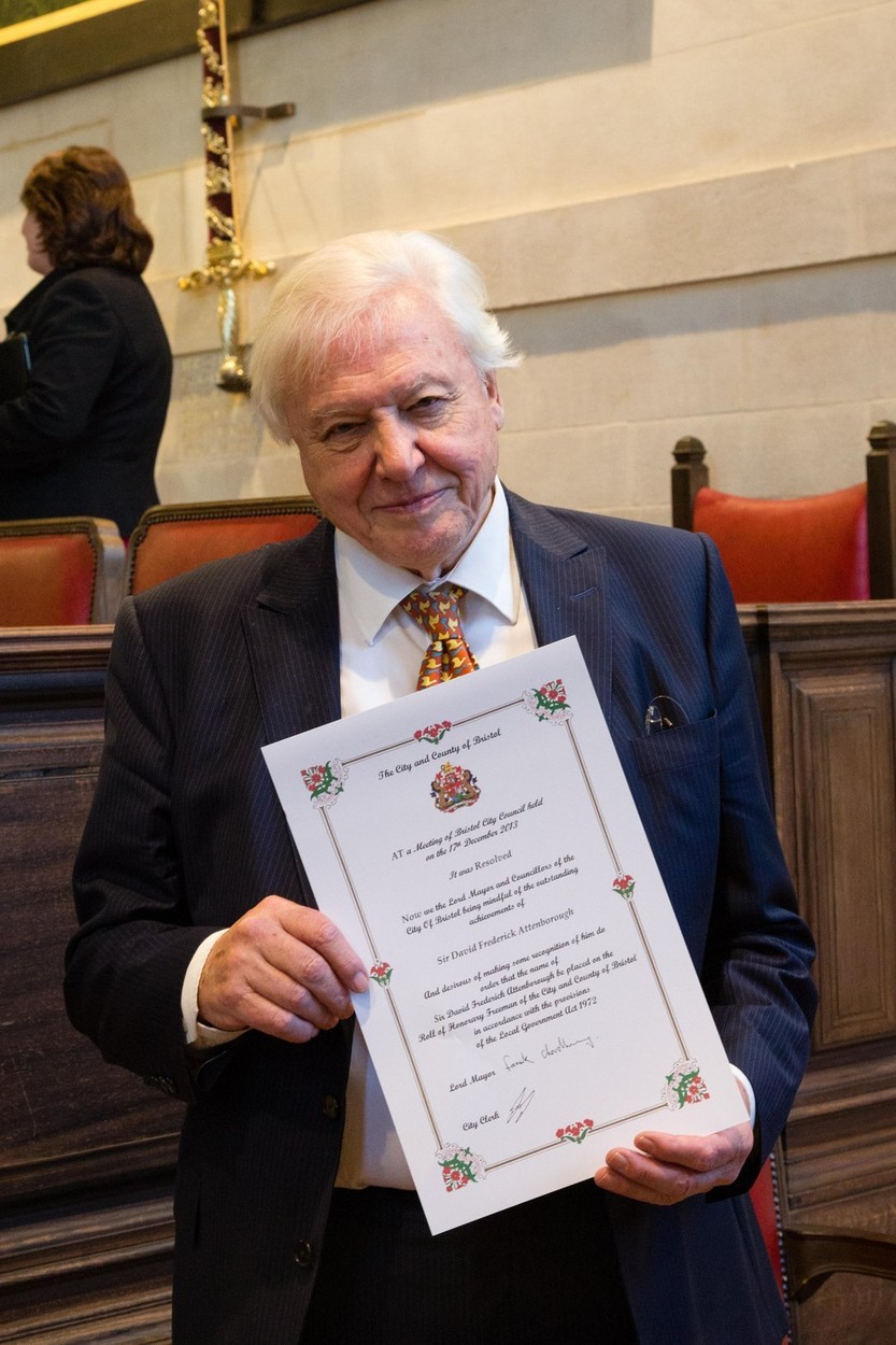 V roce 1985 byl udělen Davidu Attenboroughovi titul Sir. Získal také čestný titul na mnohých světových univerzitách