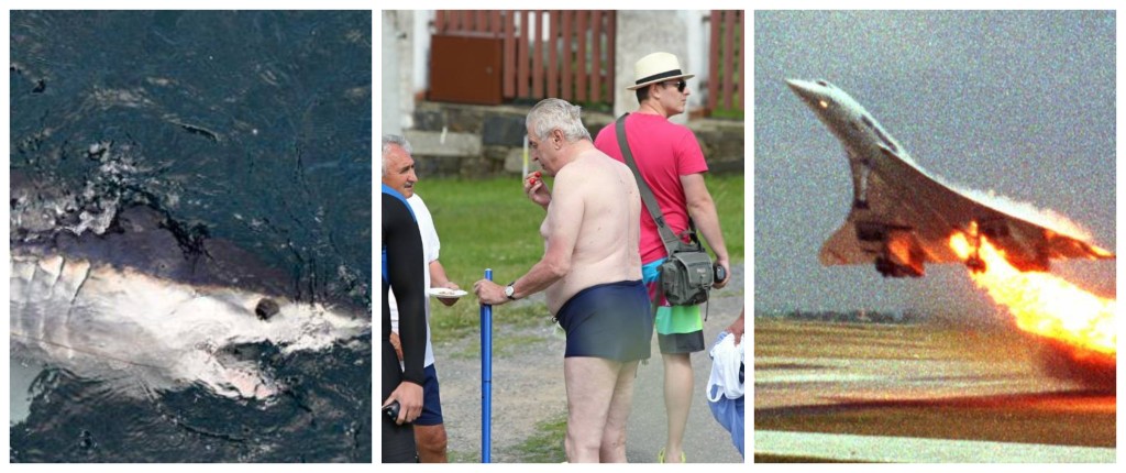 Žralok, Concord a Zeman na jednom místě jen v našem souhrnu