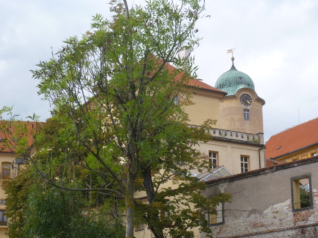 Poděbradský zámek