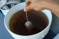 Organické hnojivo