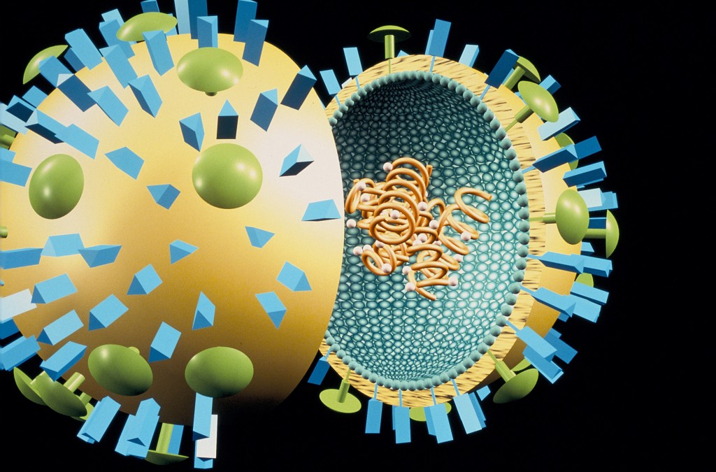 Takhle nějak vypadá virus chřipky